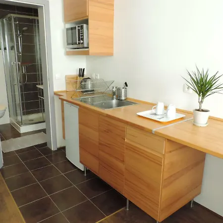 Lacerise.eu & Apartment Strasbourg